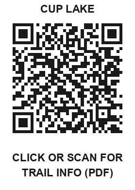 QR code: Cup Lake trail info PDF